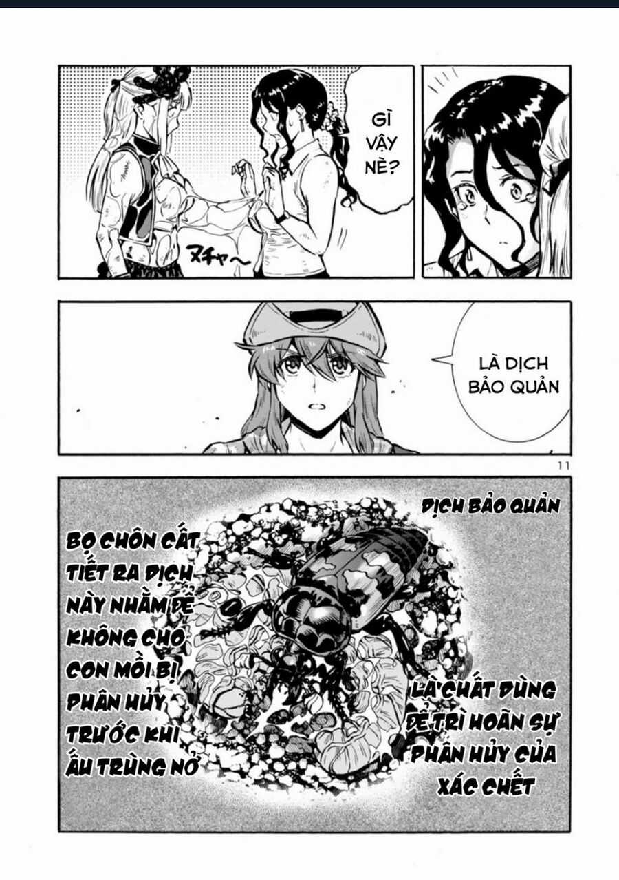 Siêu Đảo Côn Trùng Chapter 39.5 trang 12