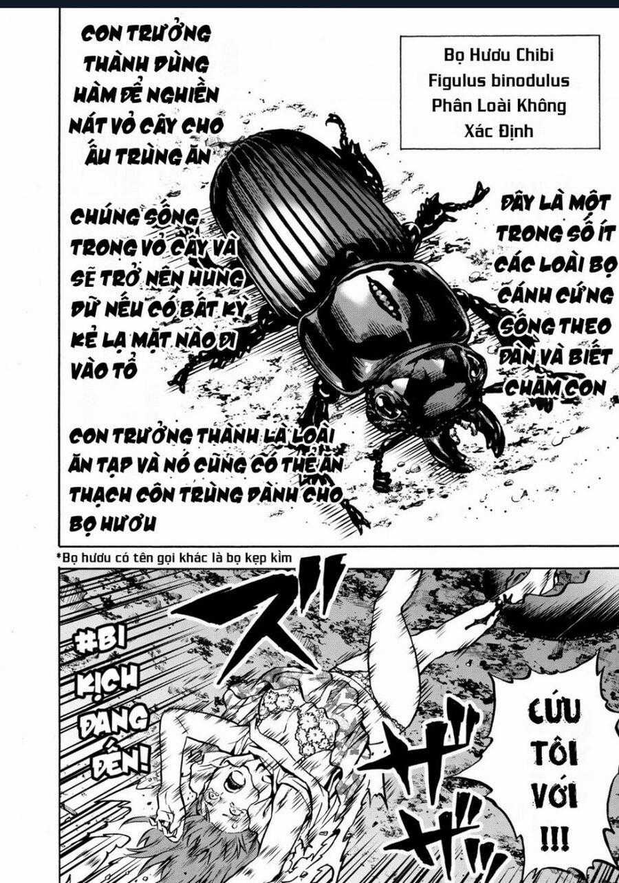 Siêu Đảo Côn Trùng Chapter 41 trang 15