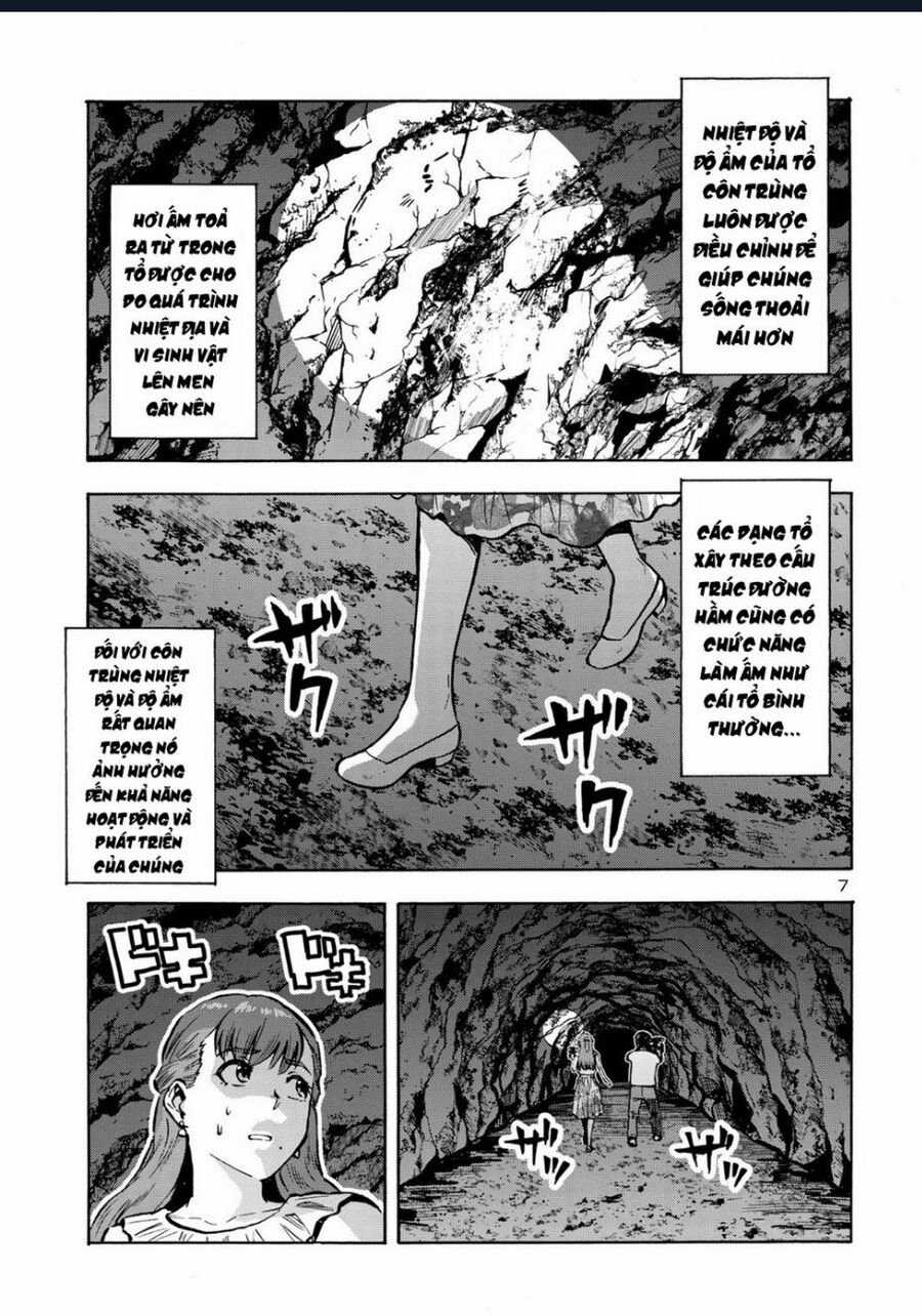 Siêu Đảo Côn Trùng Chapter 41 trang 8