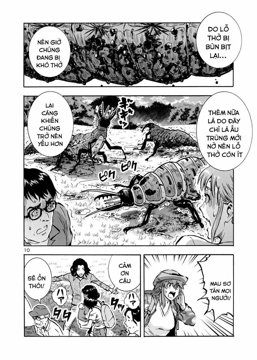 Siêu Đảo Côn Trùng Chapter 43 trang 11