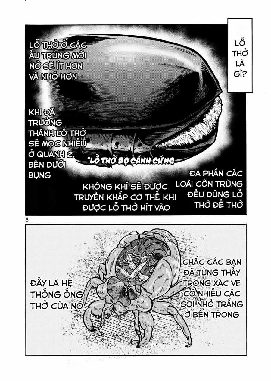 Siêu Đảo Côn Trùng Chapter 43 trang 9