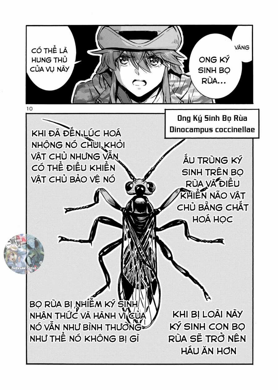 Siêu Đảo Côn Trùng Chapter 47 trang 11