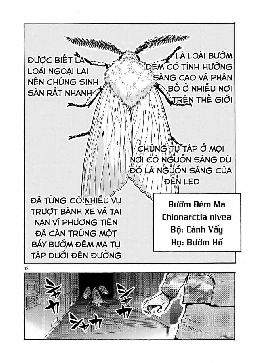 Siêu Đảo Côn Trùng Chapter 49.5 trang 19