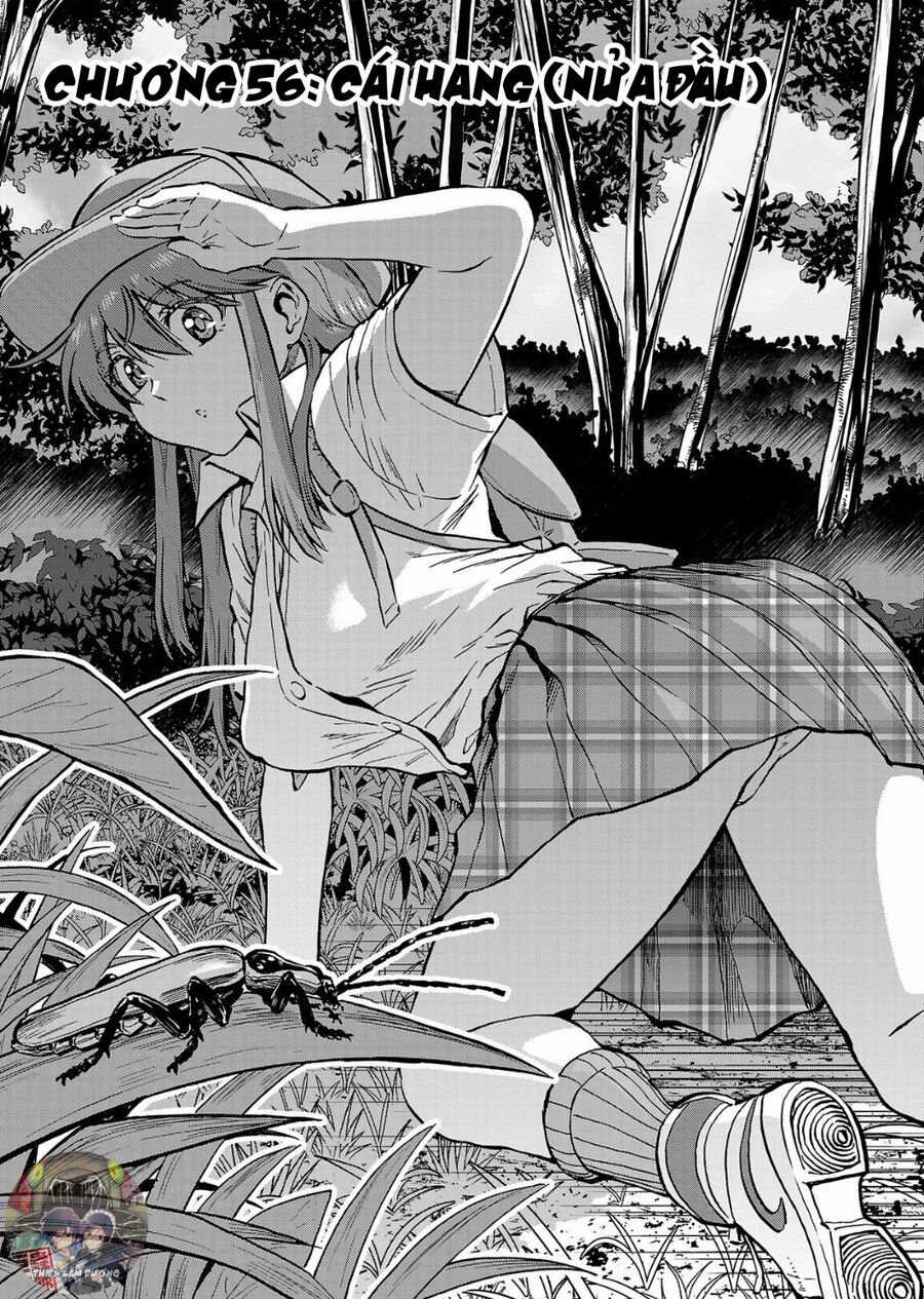 Siêu Đảo Côn Trùng Chapter 56 trang 2