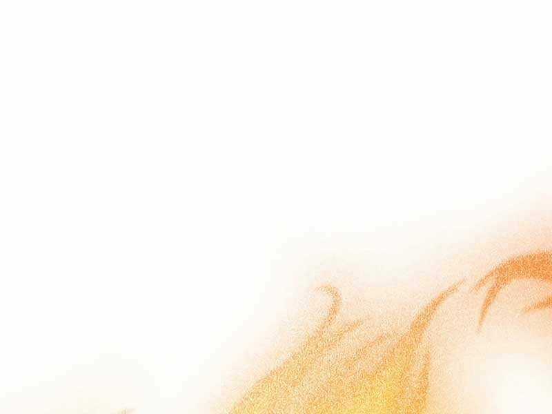 Siêu May Mắn Chapter 24 trang 218