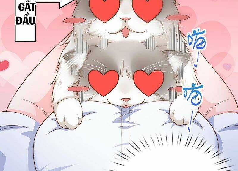 Siêu Năng Bất Lương Học Bá Chapter 7 trang 4