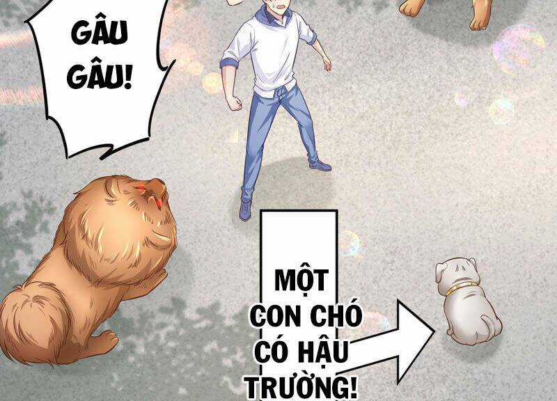 Siêu Năng Bất Lương Học Bá Chapter 7 trang 50