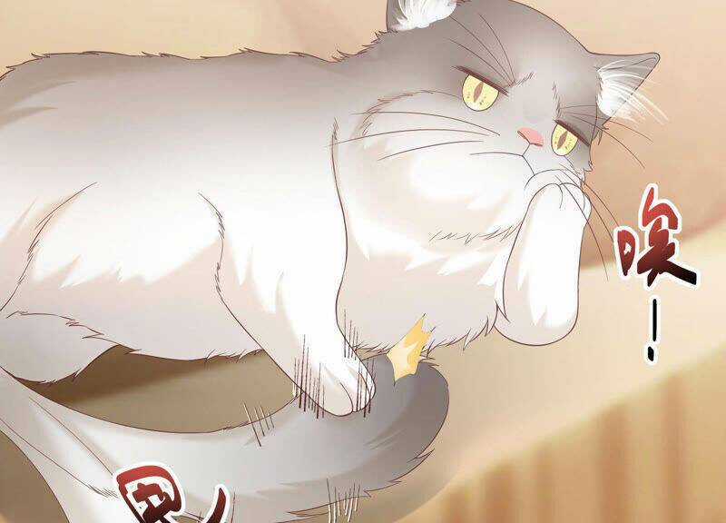 Siêu Năng Bất Lương Học Bá Chapter 7 trang 71