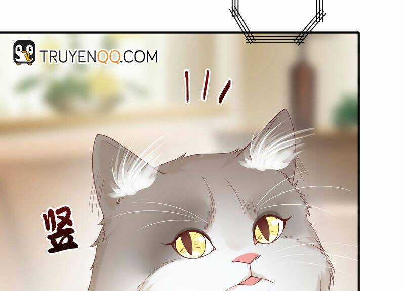 Siêu Năng Bất Lương Học Bá Chapter 7 trang 74