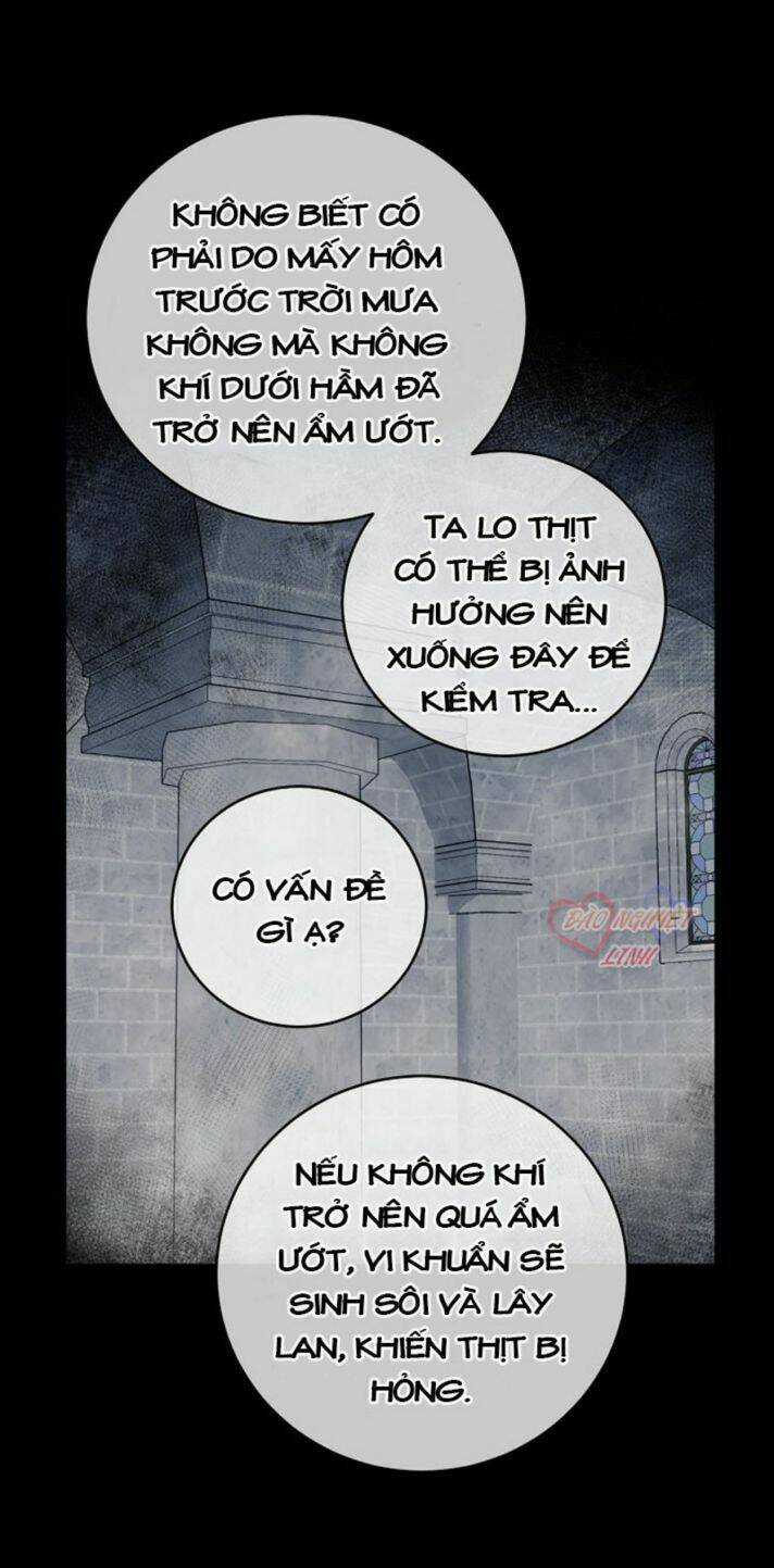 Siêu Năng Lực Của Thị Nữ Chapter 12 trang 33