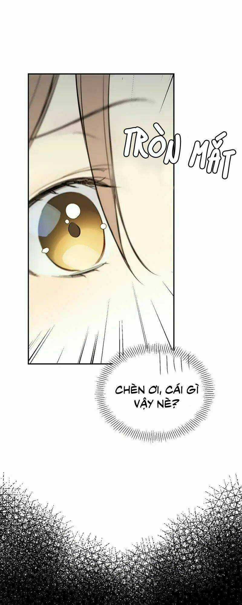 Siêu Năng Lực Của Thị Nữ Chapter 2 trang 25