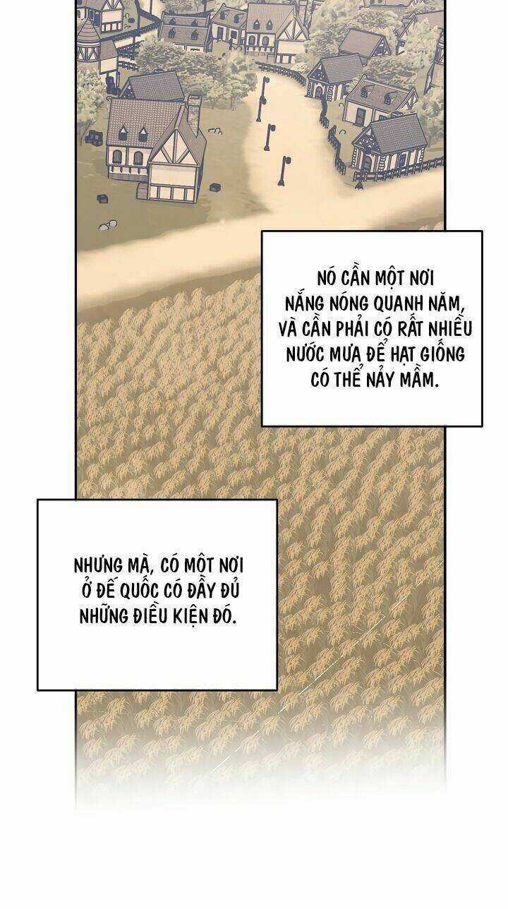 Siêu Năng Lực Của Thị Nữ Chapter 45 trang 44