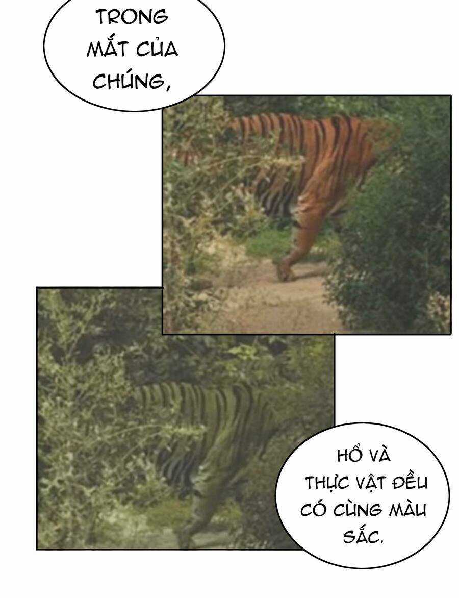 Siêu Thần Hẹn Hò Cùng Hoa Khôi Chapter 43 trang 15