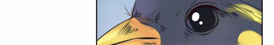 Siêu Thần Hẹn Hò Cùng Hoa Khôi Chapter 43 trang 17