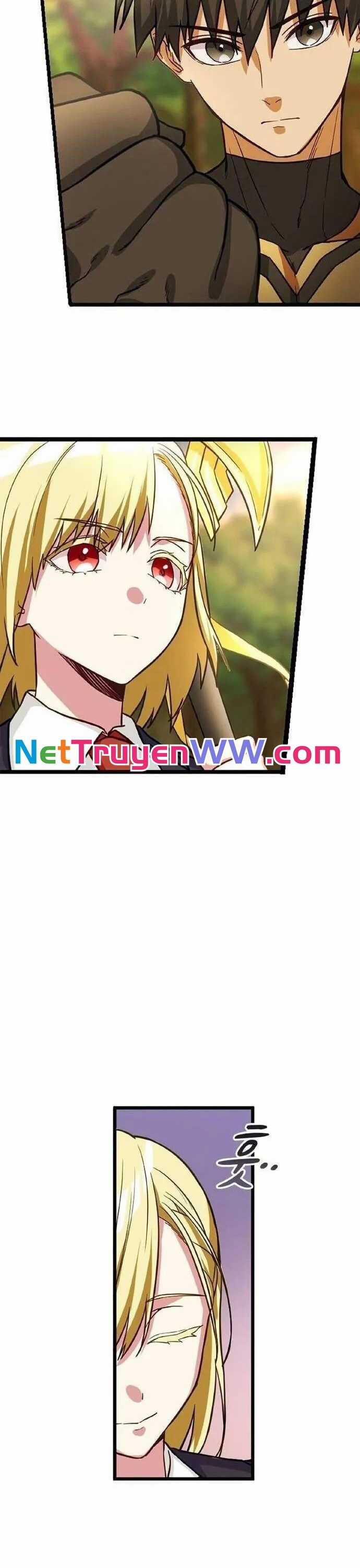 Siêu Thăng Cấp Anh Hùng Chapter 12 trang 5