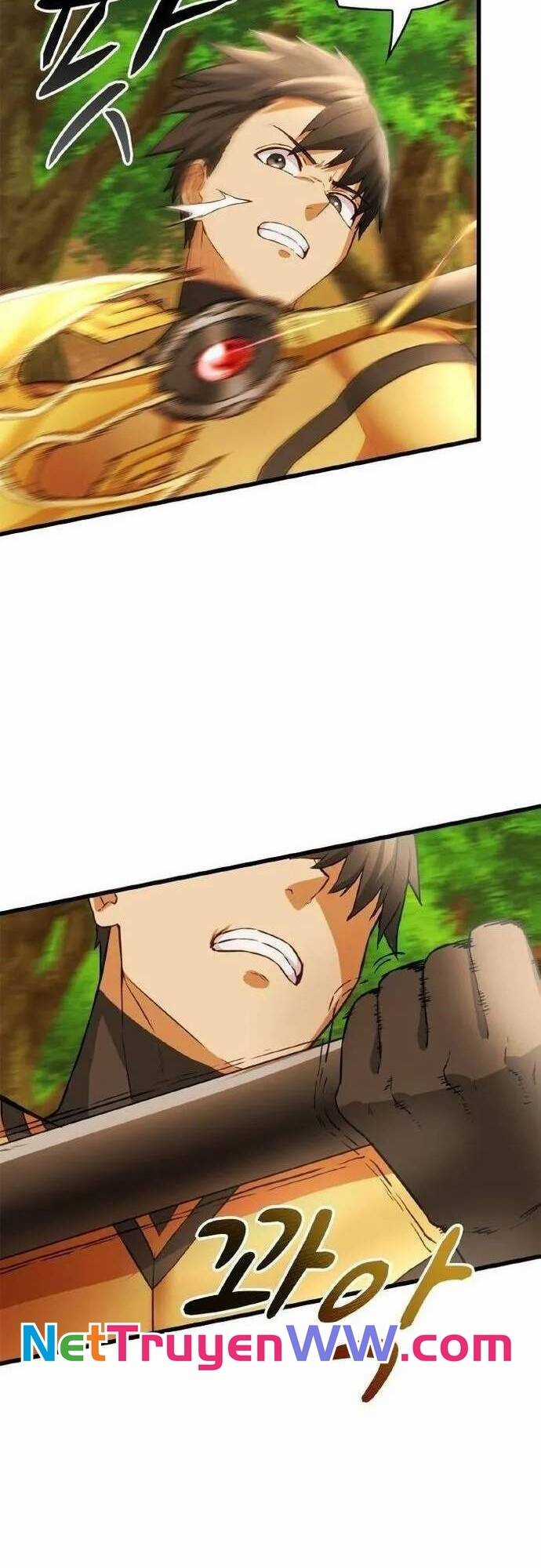 Siêu Thăng Cấp Anh Hùng Chương 11 trang 29