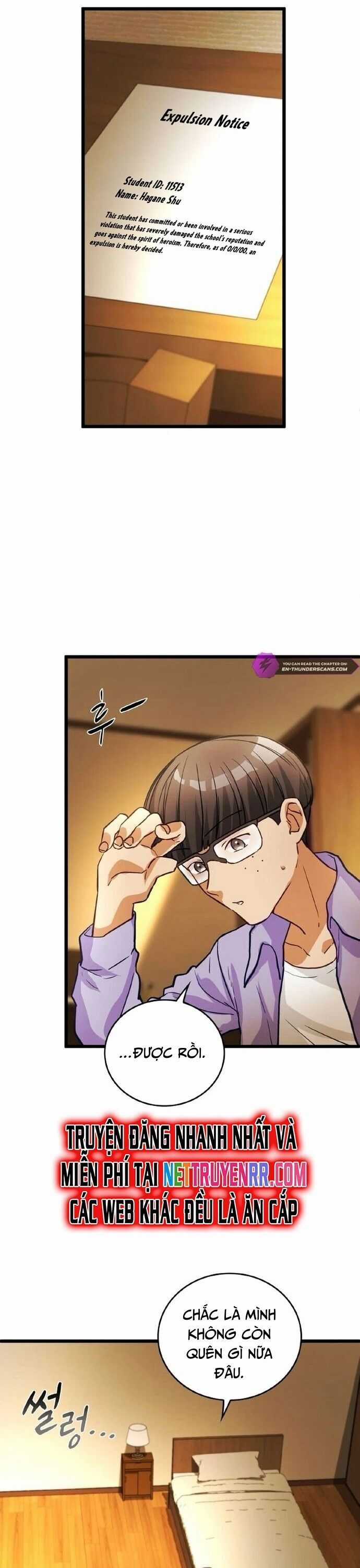 Siêu Thăng Cấp Anh Hùng Chương 19 trang 17