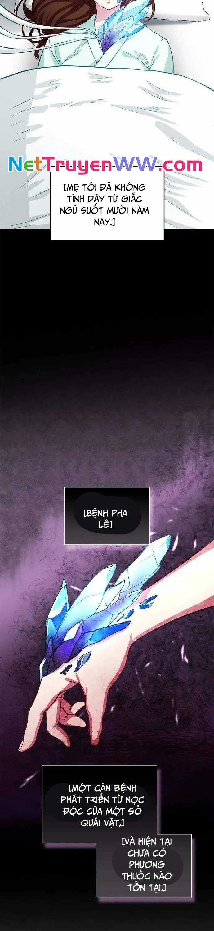 Siêu Thăng Cấp Anh Hùng Chương 3 trang 17