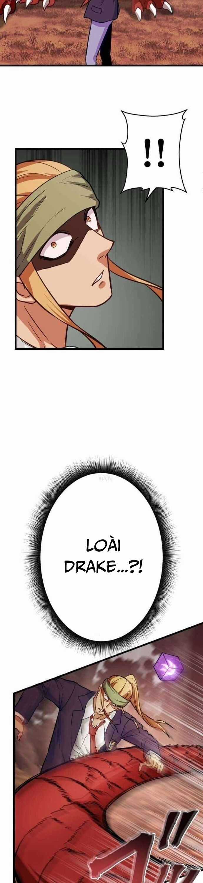 Siêu Thăng Cấp Anh Hùng Chương 39 trang 33