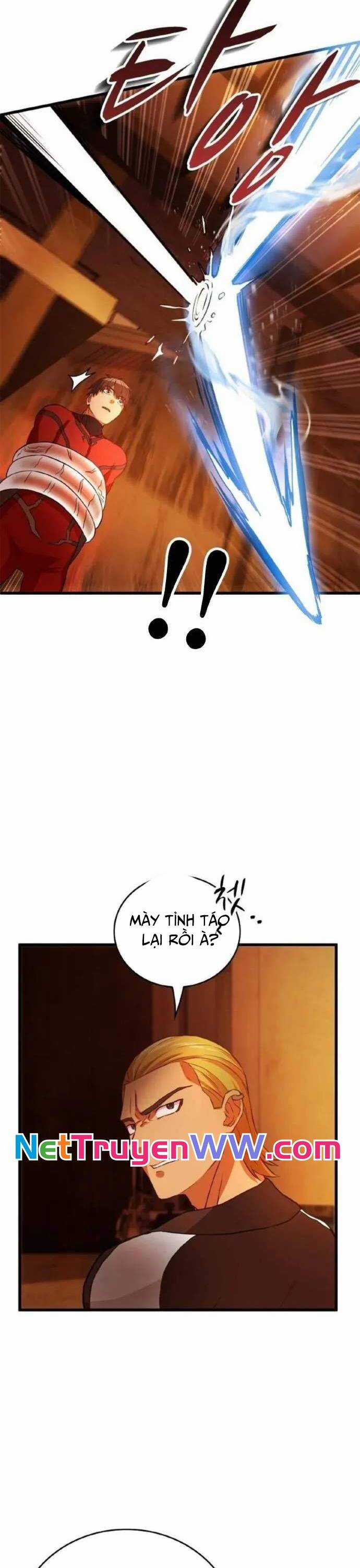 Siêu Thăng Cấp Anh Hùng Chương 8 trang 13