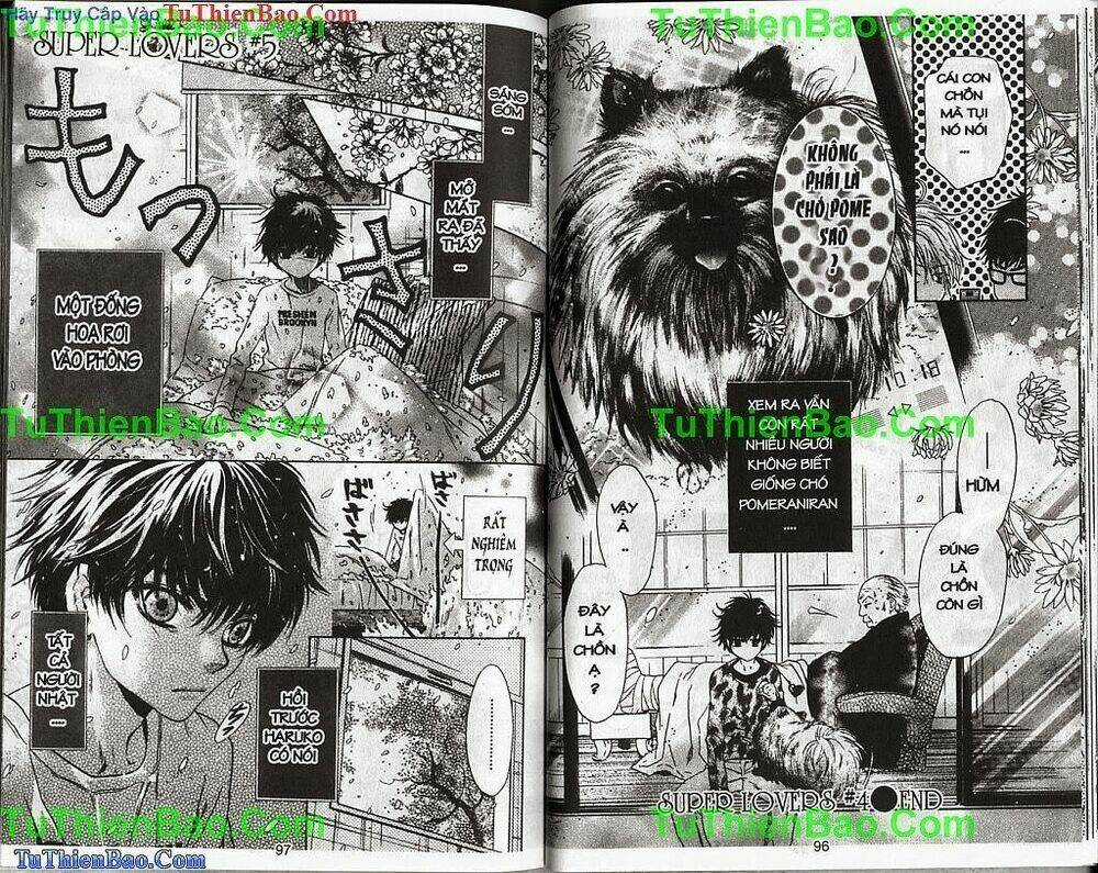 Siêu Tình Yêu - Supper Lovers Chapter 2 trang 48