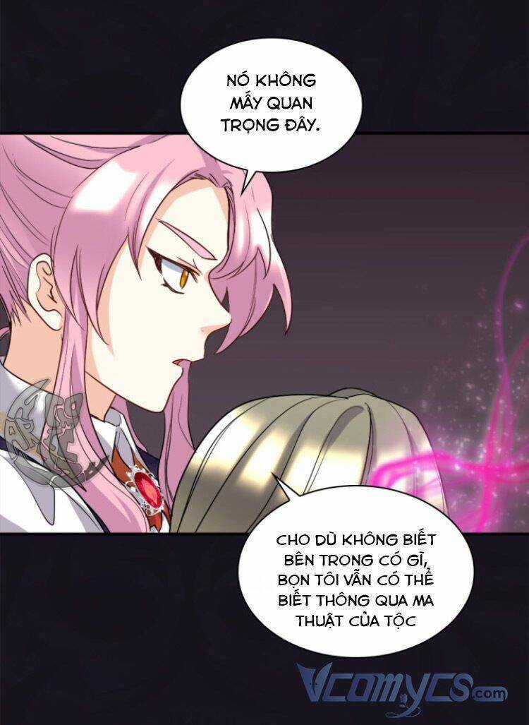 Sinh Đôi Xuyên Không Chapter 107 trang 13