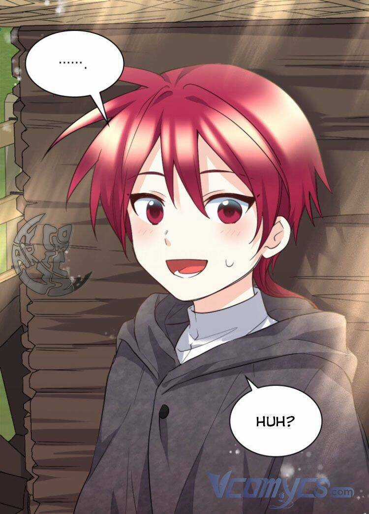 Sinh Đôi Xuyên Không Chapter 111 trang 14