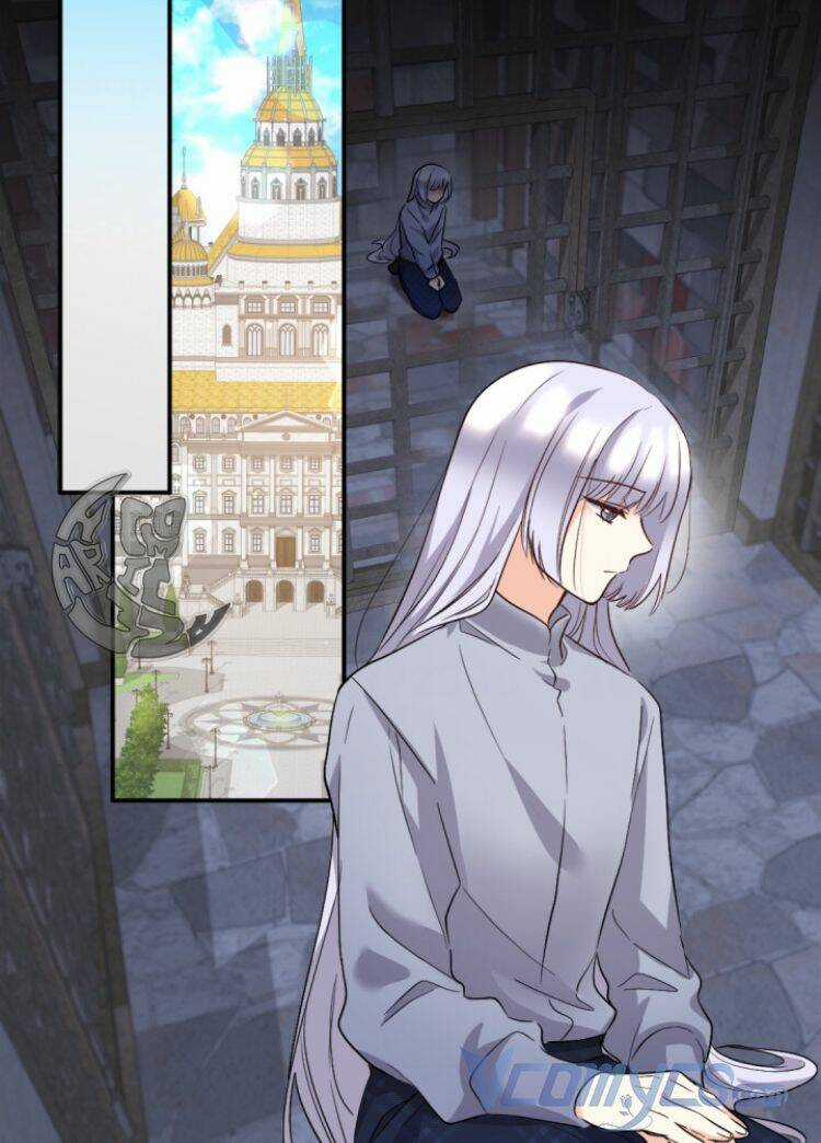 Sinh Đôi Xuyên Không Chapter 112 trang 41