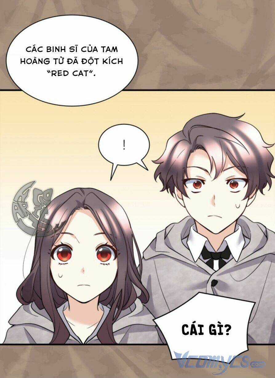 Sinh Đôi Xuyên Không Chapter 113 trang 14