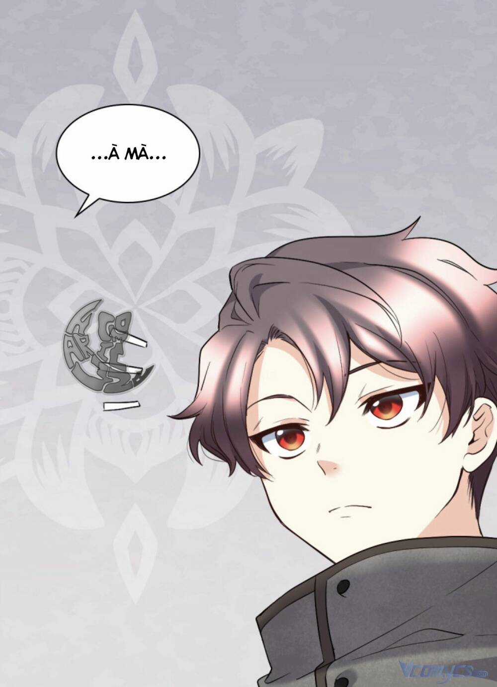 Sinh Đôi Xuyên Không Chapter 117 trang 10