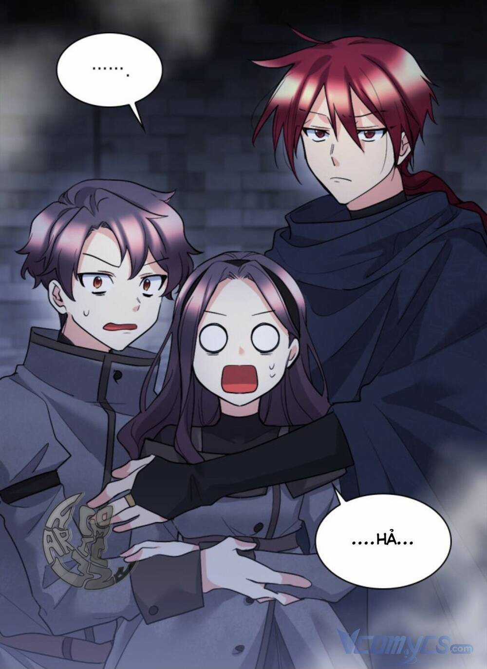 Sinh Đôi Xuyên Không Chapter 118 trang 4