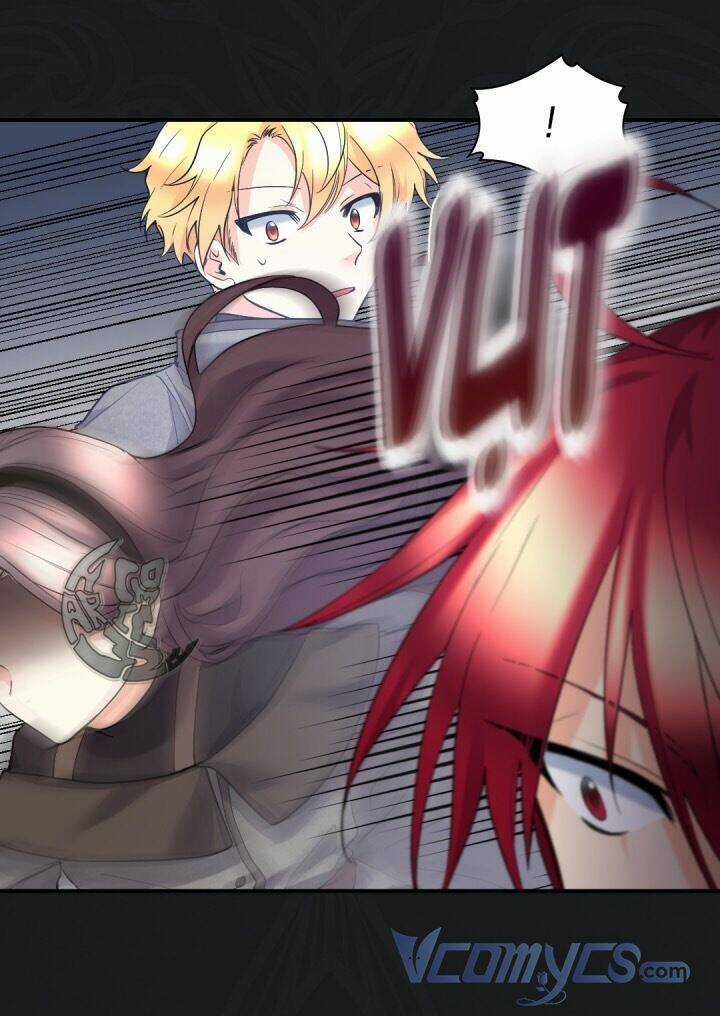 Sinh Đôi Xuyên Không Chapter 121 trang 13