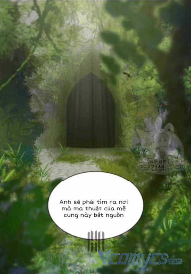 Sinh Đôi Xuyên Không Chapter 72 trang 13