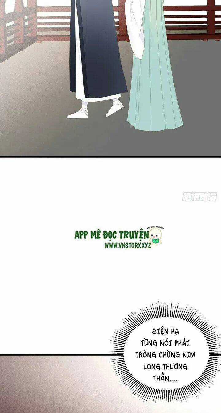 Sinh Hạ Long Chủng Chapter 184 trang 35