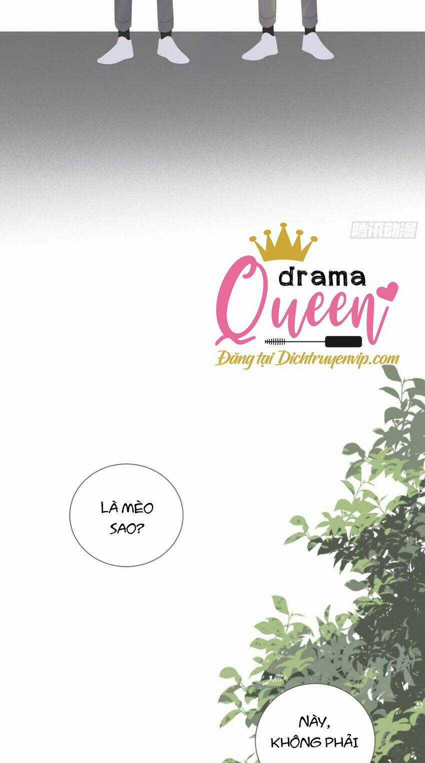 Sinh Hạ Long Chủng Chapter 215 trang 46