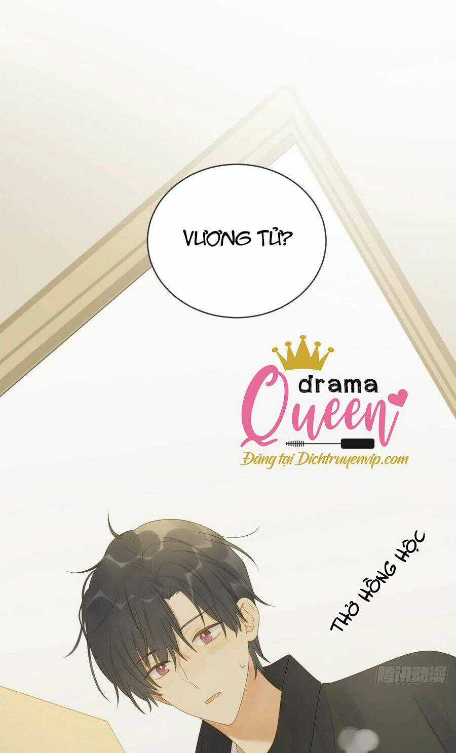 Sinh Hạ Long Chủng Chapter 217 trang 19