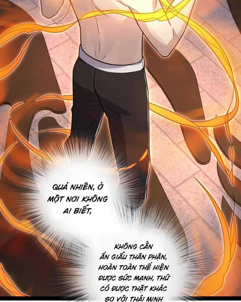 Sinh Hoạt Của Võ Đế Sau Khi Ẩn Cư Chapter 289 trang 51