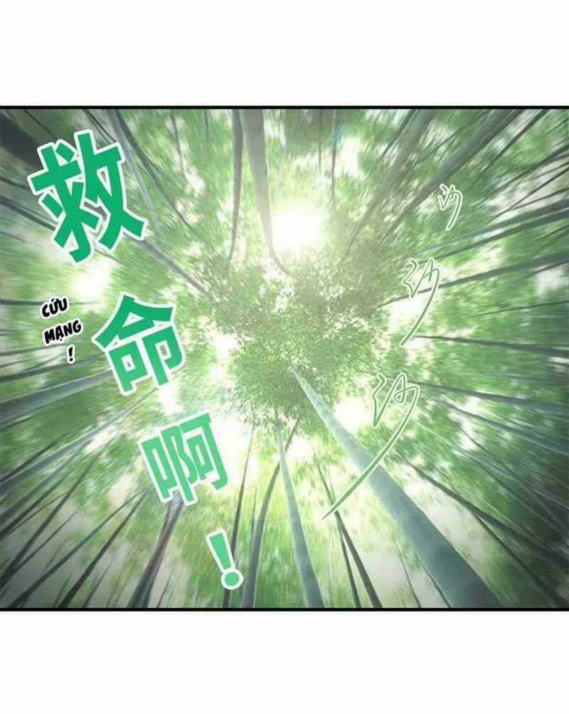 Sinh Hoạt Của Võ Đế Sau Khi Ẩn Cư Chapter 8 trang 15