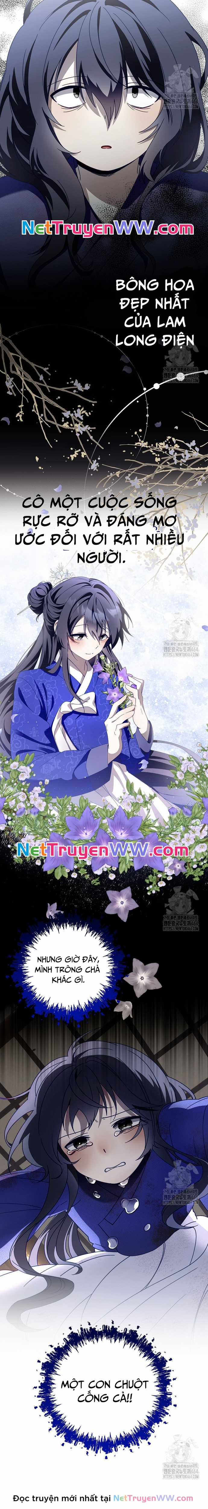 Sinh Tồn Trong Cuốn Tiểu Thuyết Romance Fantasy Chapter 5 trang 11