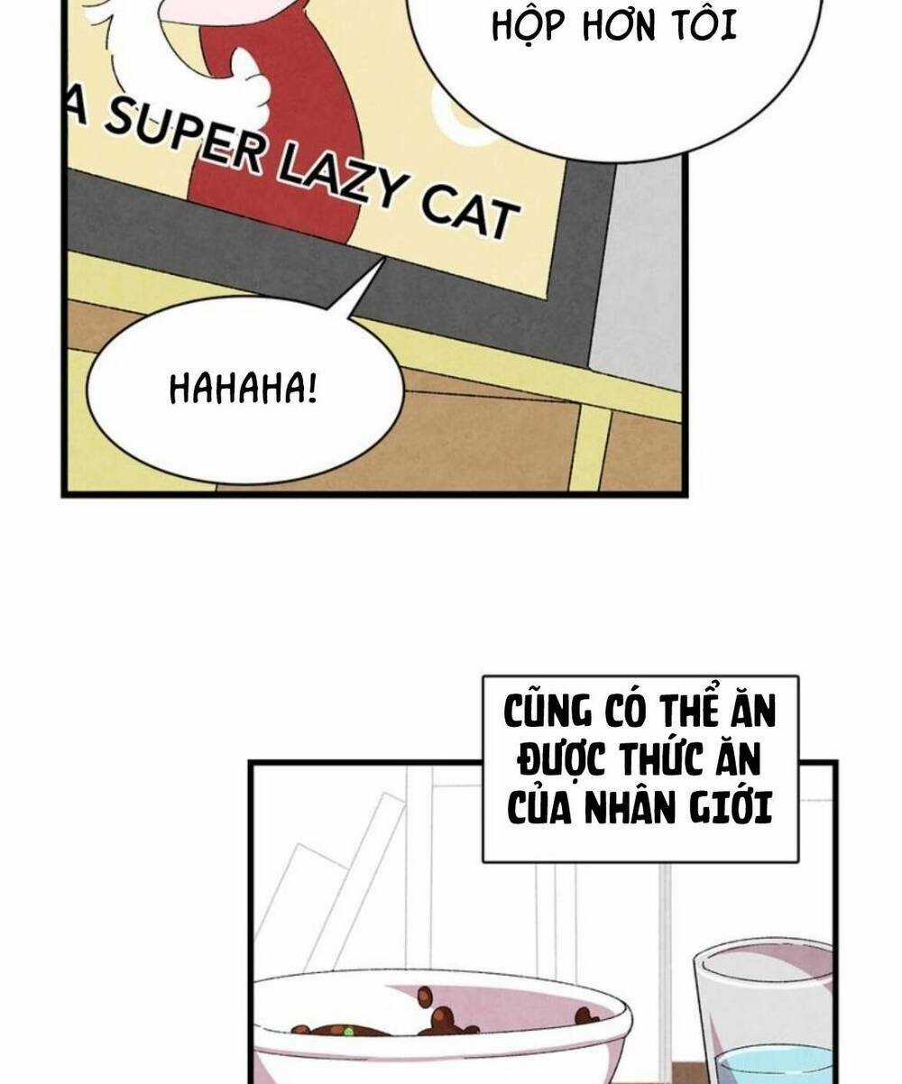 Skeleton Bất Đắt Dĩ Trở Thành Bố Của Bé Mèo Con Chapter 1 trang 43