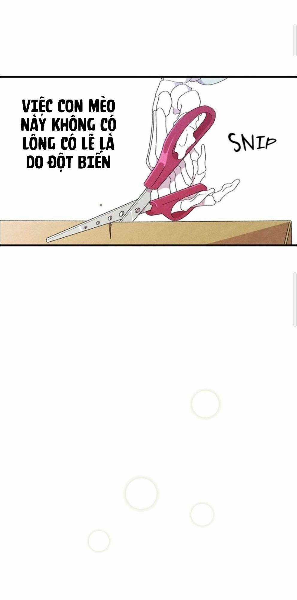 Skeleton Bất Đắt Dĩ Trở Thành Bố Của Bé Mèo Con Chapter 3 trang 15