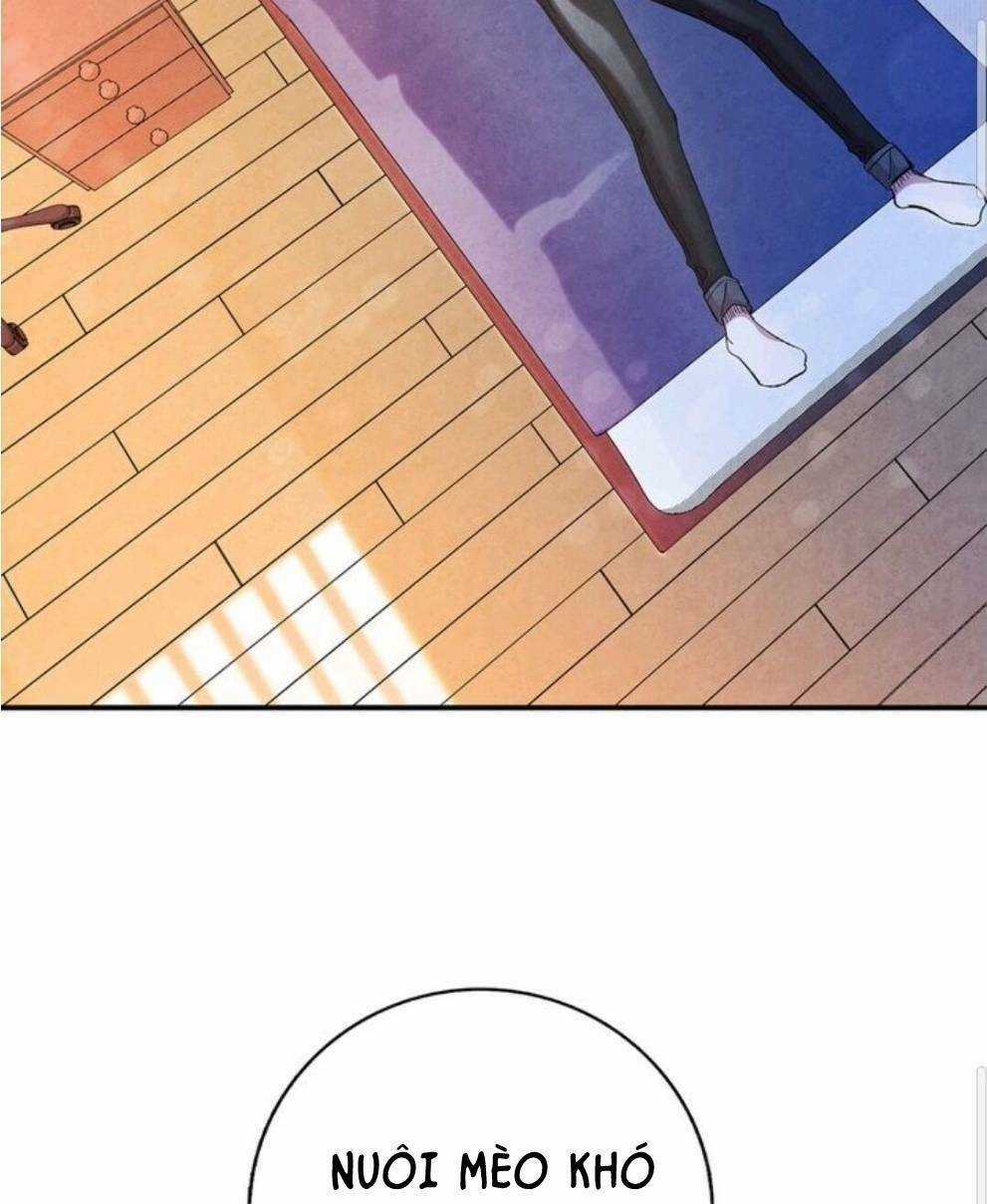 Skeleton Bất Đắt Dĩ Trở Thành Bố Của Bé Mèo Con Chapter 3 trang 51