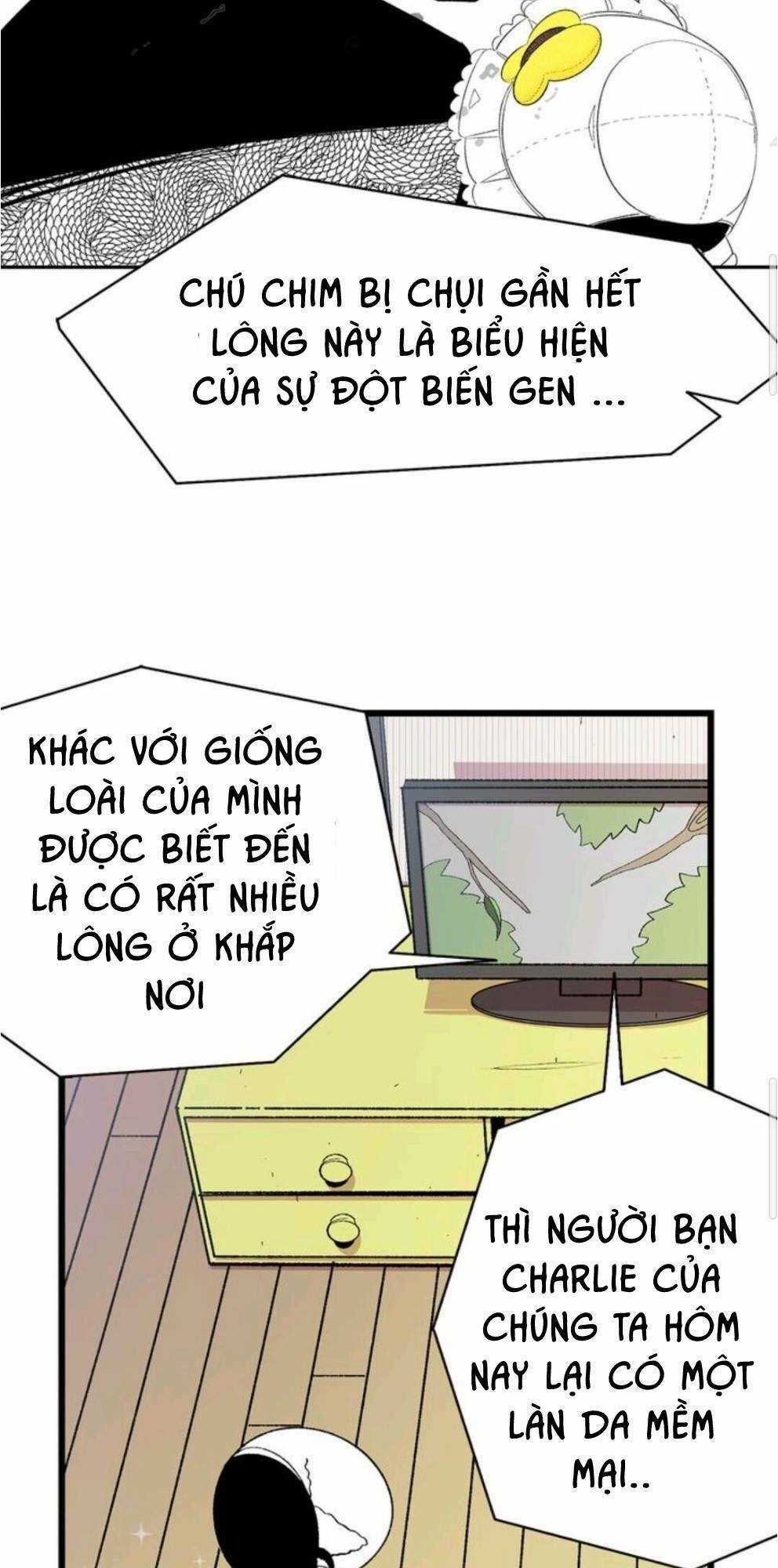 Skeleton Bất Đắt Dĩ Trở Thành Bố Của Bé Mèo Con Chapter 3 trang 7