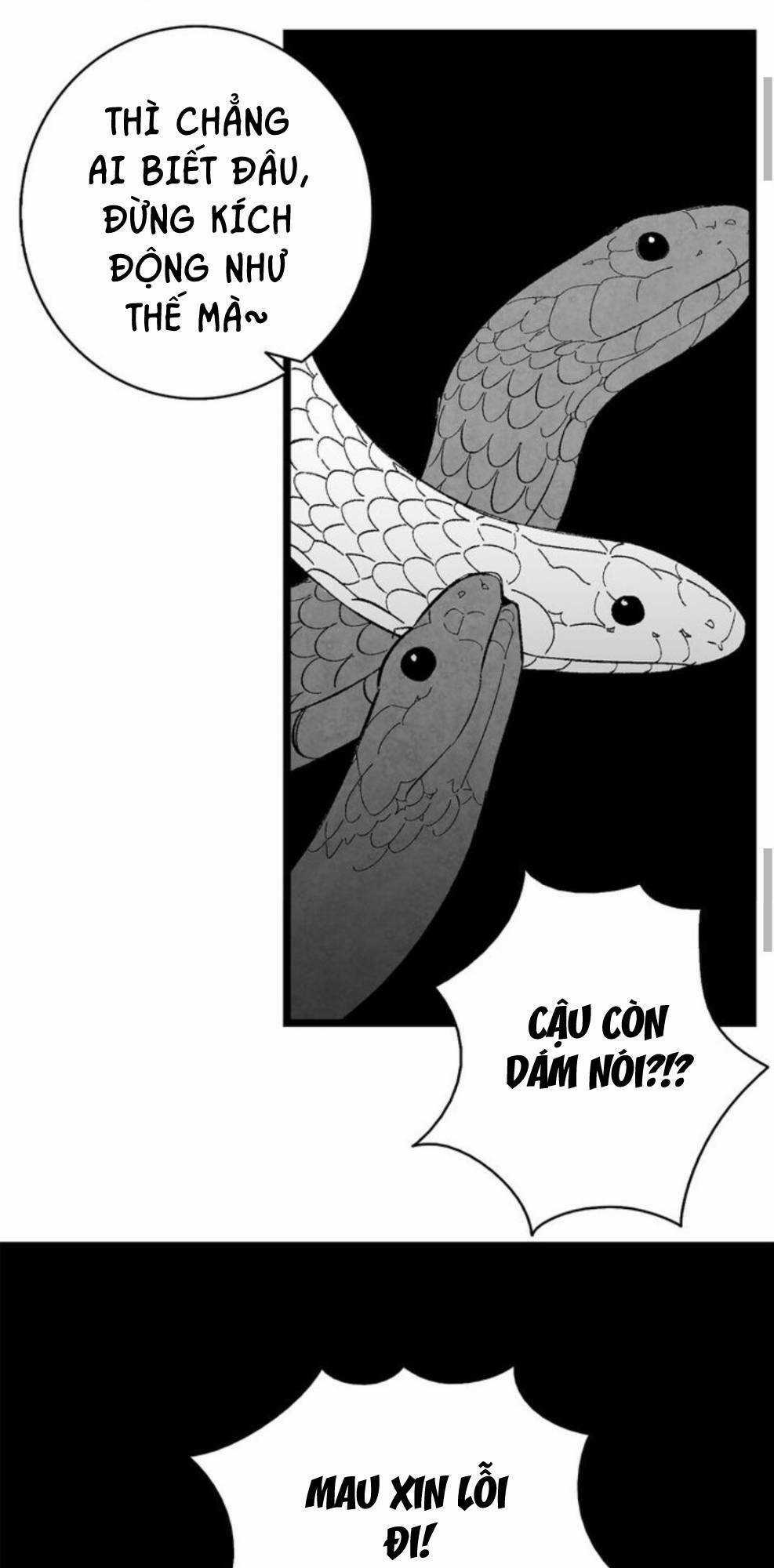 Skeleton Bất Đắt Dĩ Trở Thành Bố Của Bé Mèo Con Chapter 5 trang 17