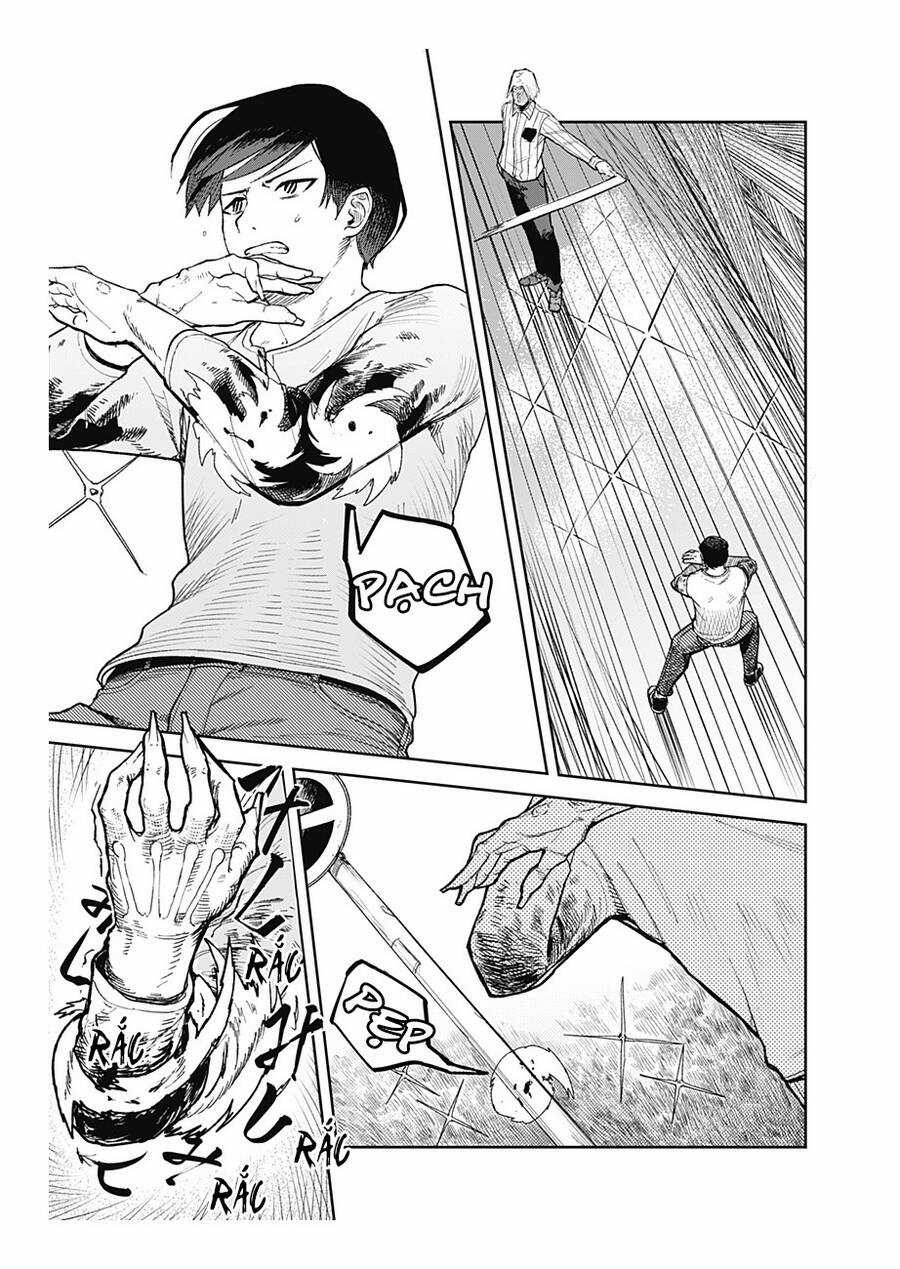 skeleton double Chapter 2 trang 11