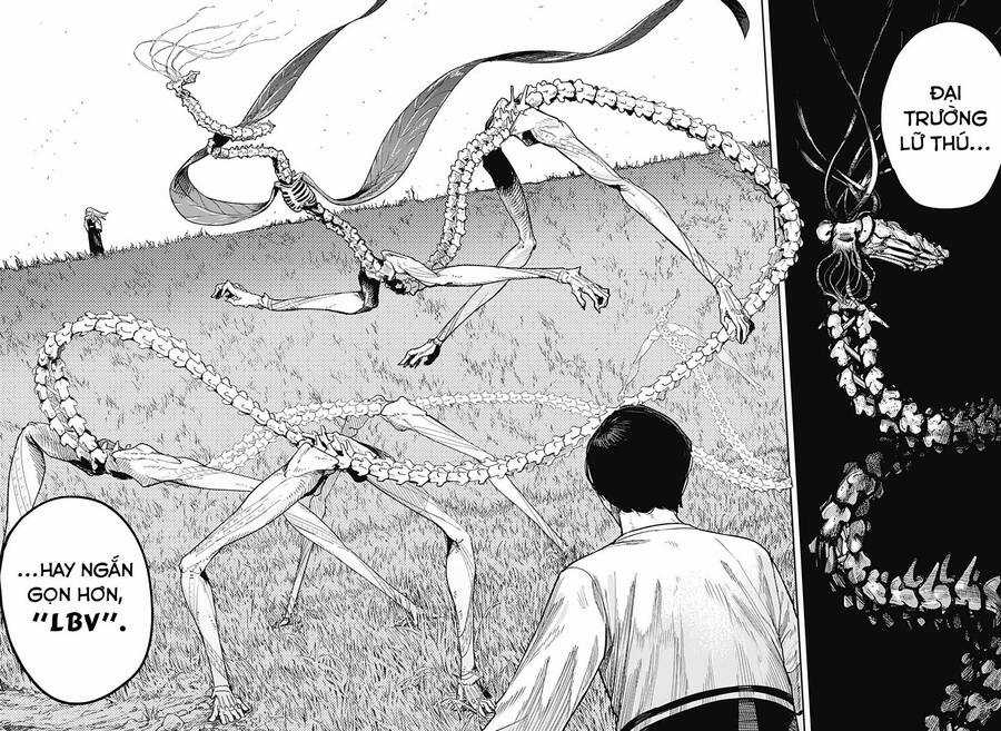 skeleton double Chapter 3 trang 28