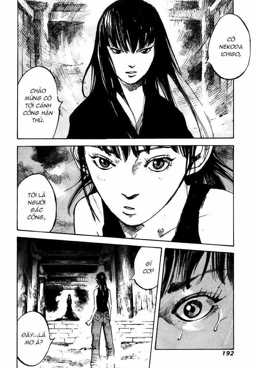 Skyhigh: Shinshou Chapter 12 trang 8