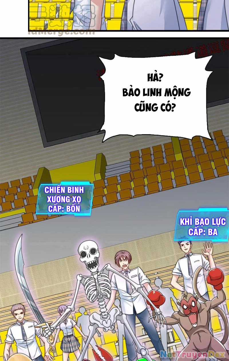 Slime Ta Treo Cự Long Lên Đánh Là Hợp Lý Nhỉ? Chapter 1 trang 37