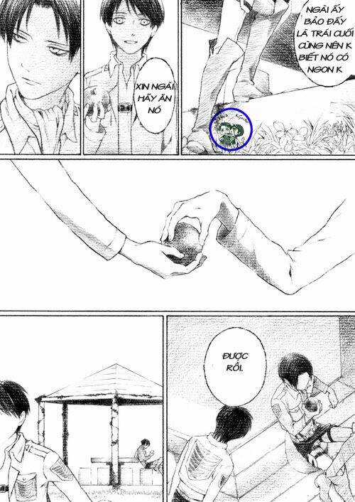 Snk Short Doujinshi Chapter 37 trang 18