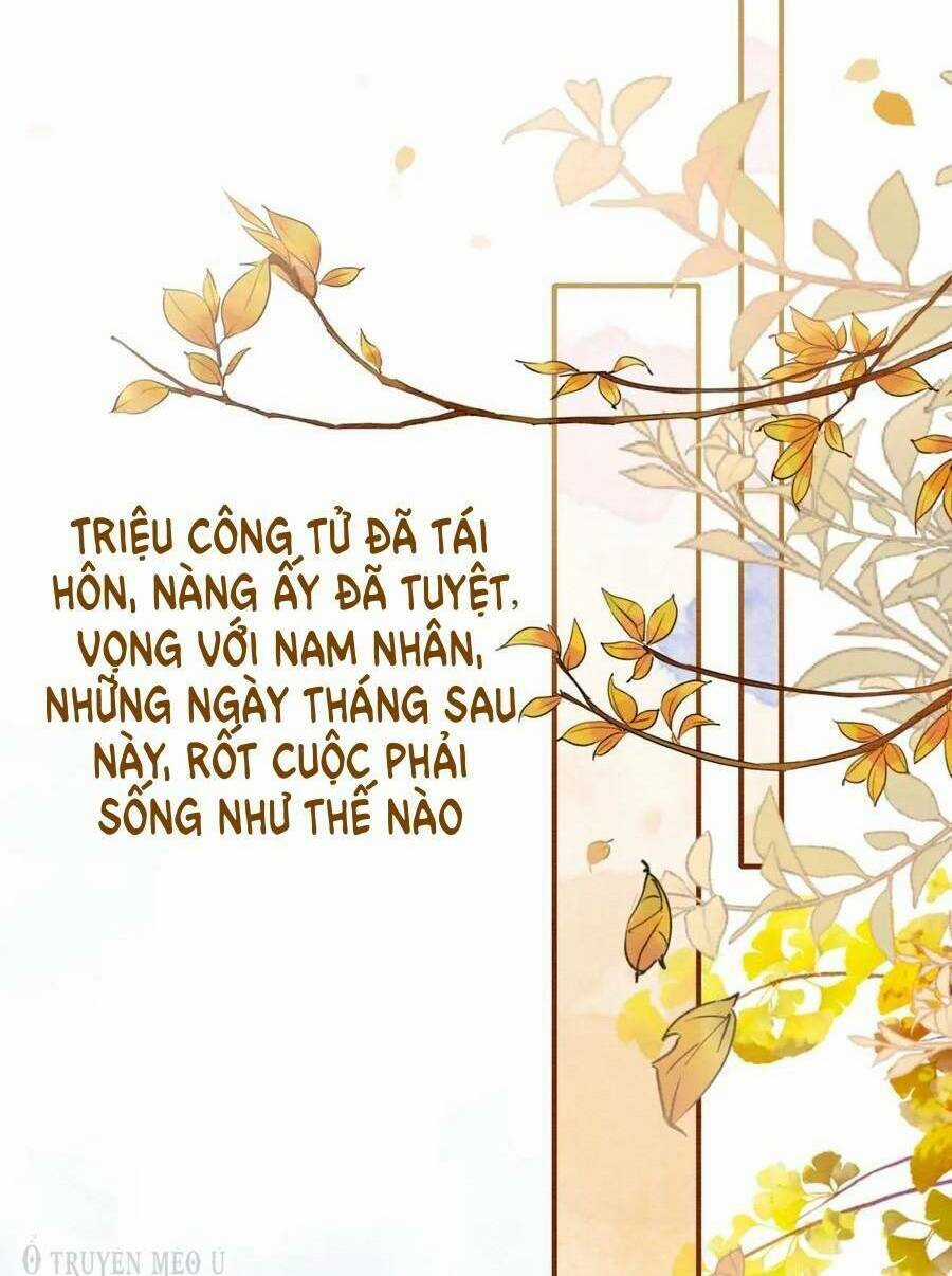 Sổ Tay Công Lược Hắc Liên Hoa Chapter 126 trang 29
